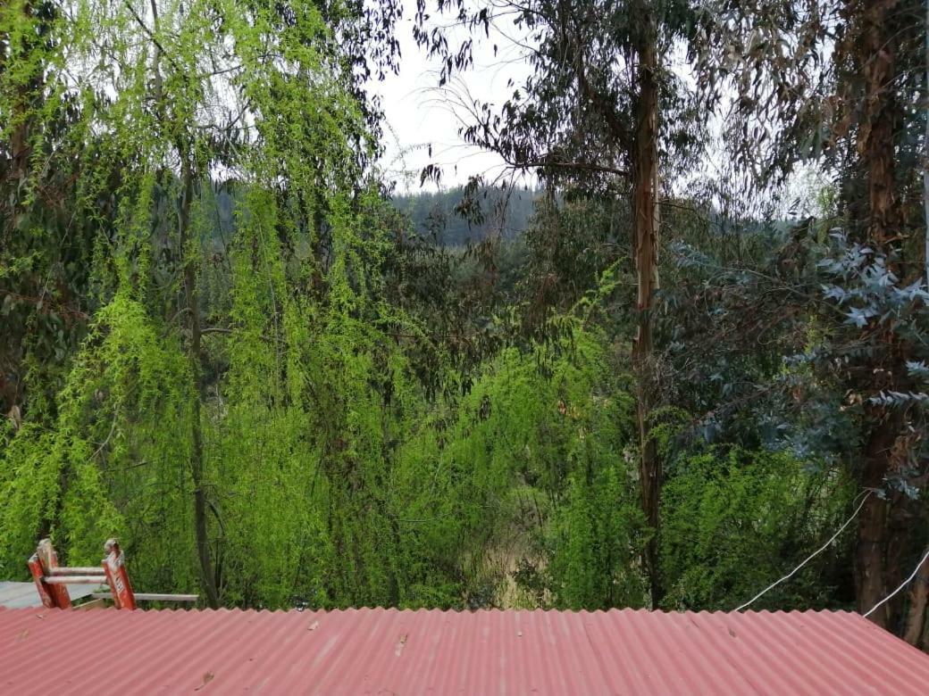 فندق El Fogon De Rio Claro المظهر الخارجي الصورة